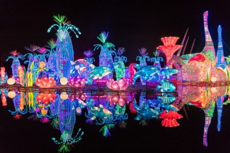 Dubai Garden glow tickets